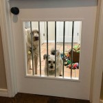 Interior Door With Dog Door - Benefits And Advantages